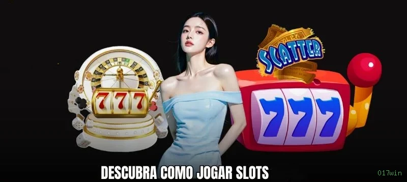 Programa VIP 017win